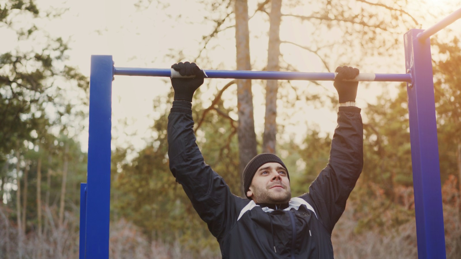 Calisthenics / bodyweight