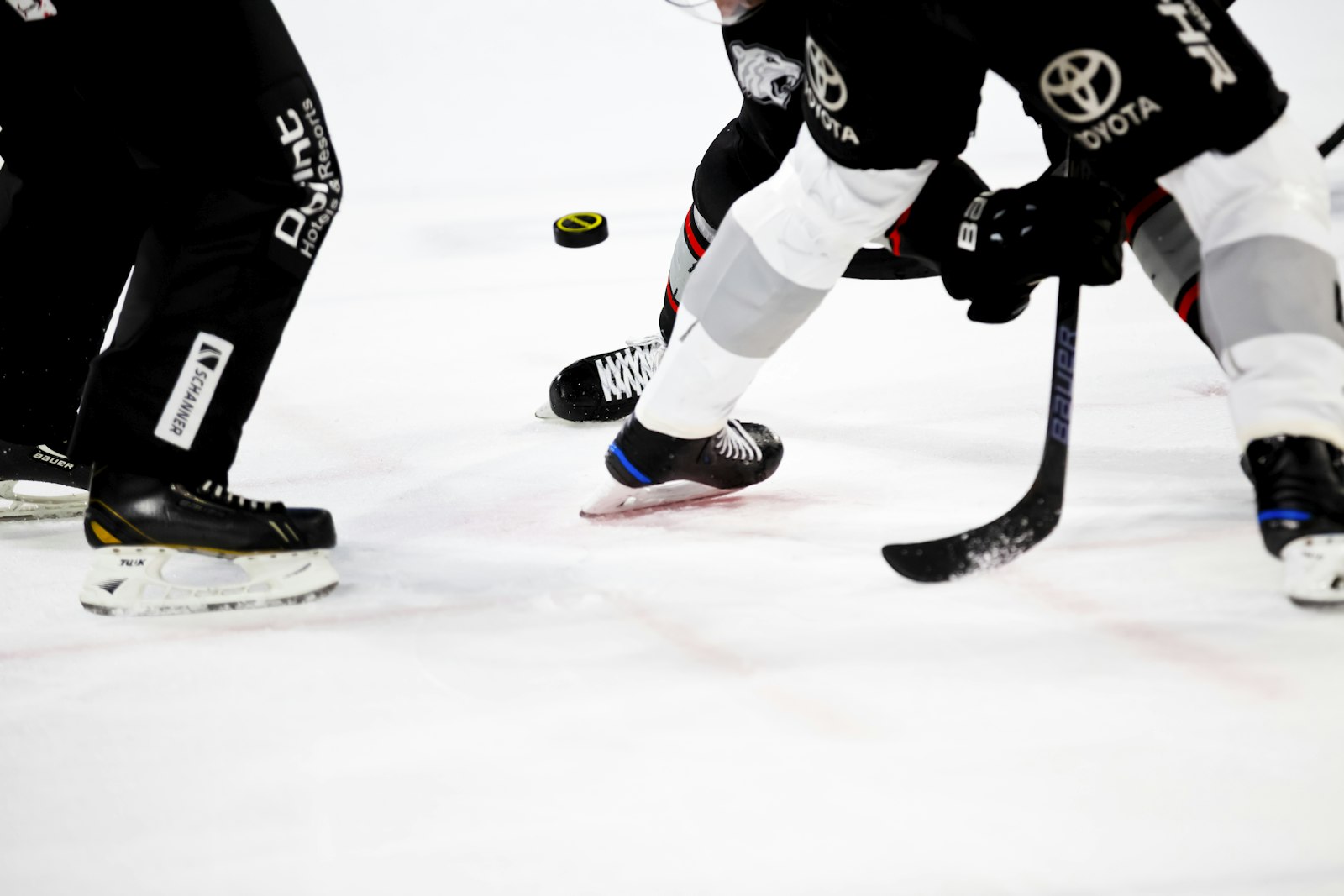 Hockey, Hockey Off-Season – 3 Days, 8 Weeks