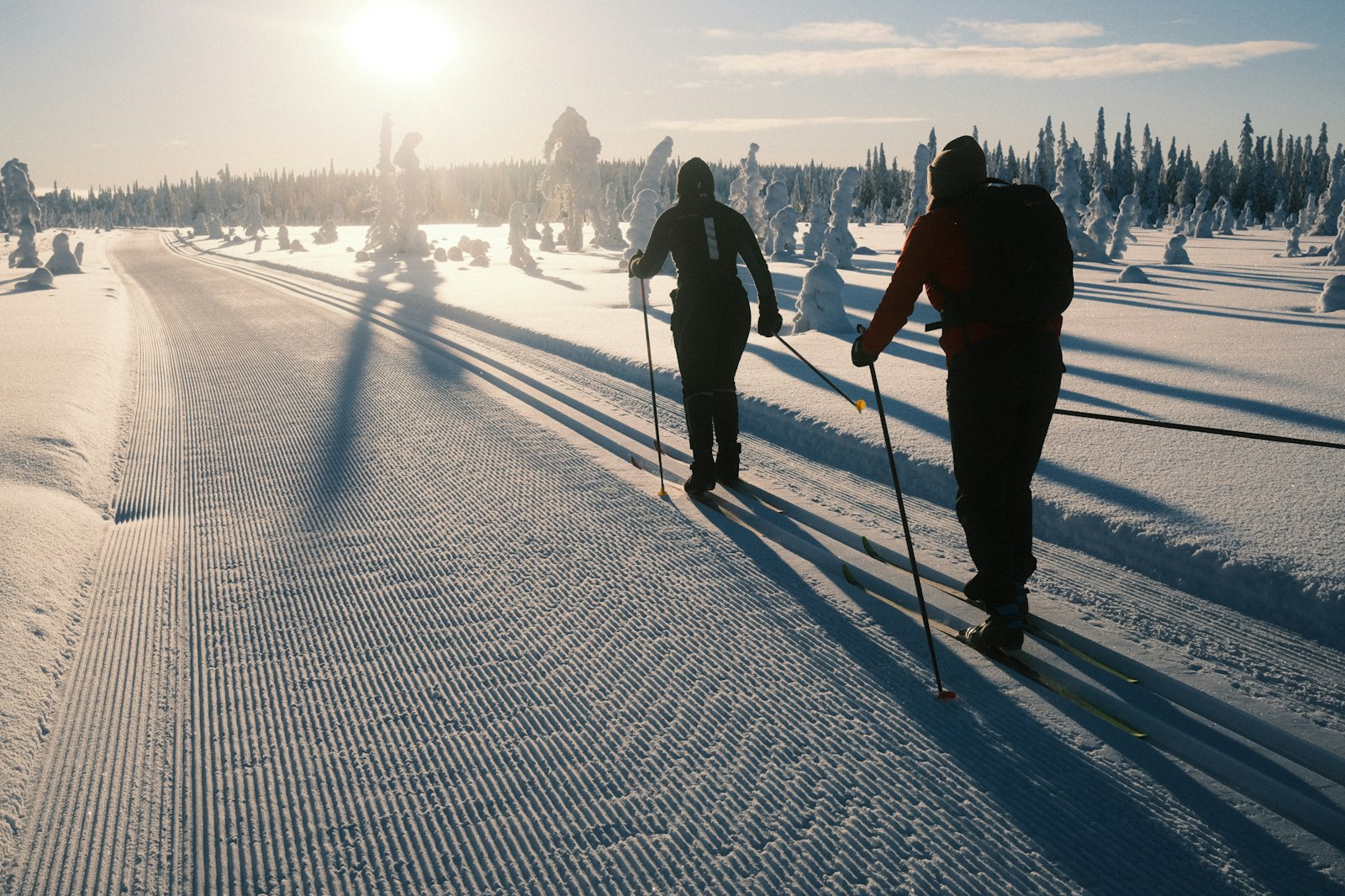 Ski-erg
